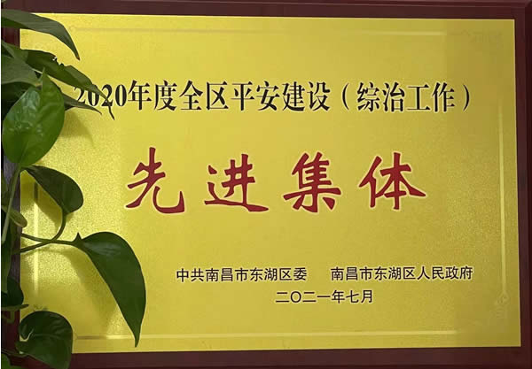 2020年度綜治先進(jìn)單位